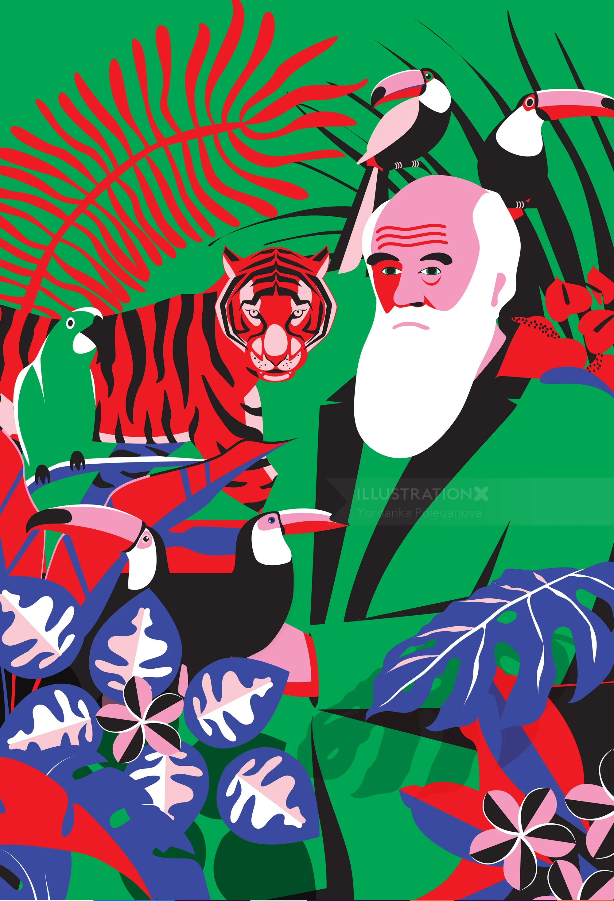 Illustration of Darwin surrounded by exotic birds and a tiger by Yordanka Poleganova