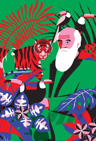 Illustration of Darwin surrounded by exotic birds and a tiger by Yordanka Poleganova