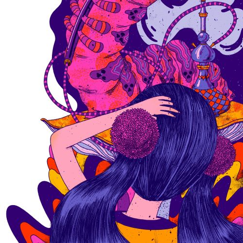 Zansky Book Covers Illustrator from Brazil