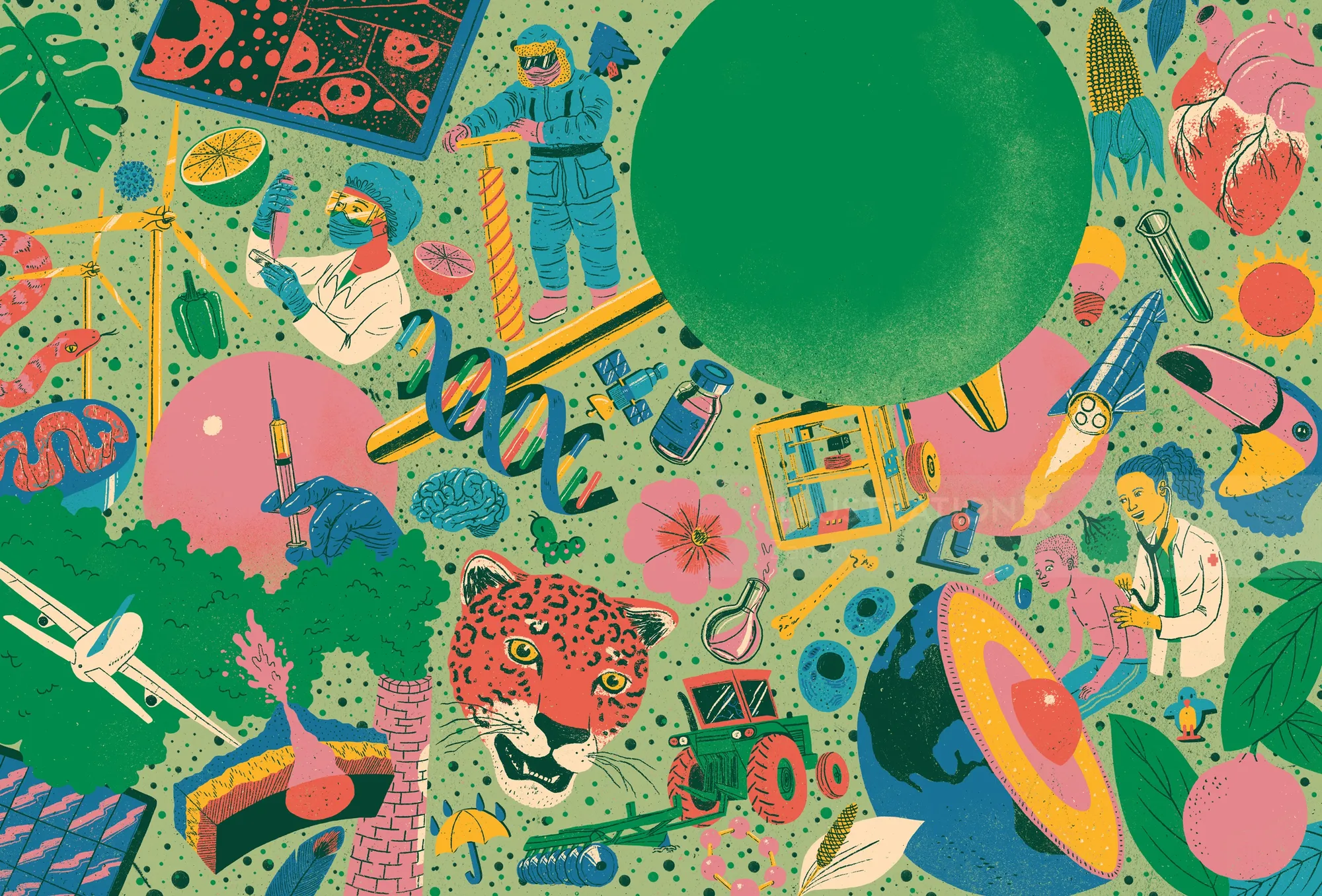 Collection of Textbook Illustrations for Itinerários Formativos