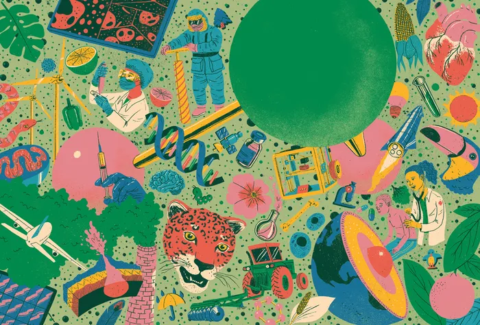 Collection of Textbook Illustrations for Itinerários Formativos
