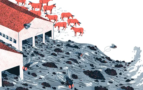 Illustration of red cows and flies near polluted water from factory