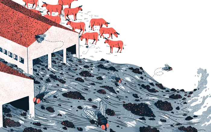 Illustration of red cows and flies near polluted water from factory