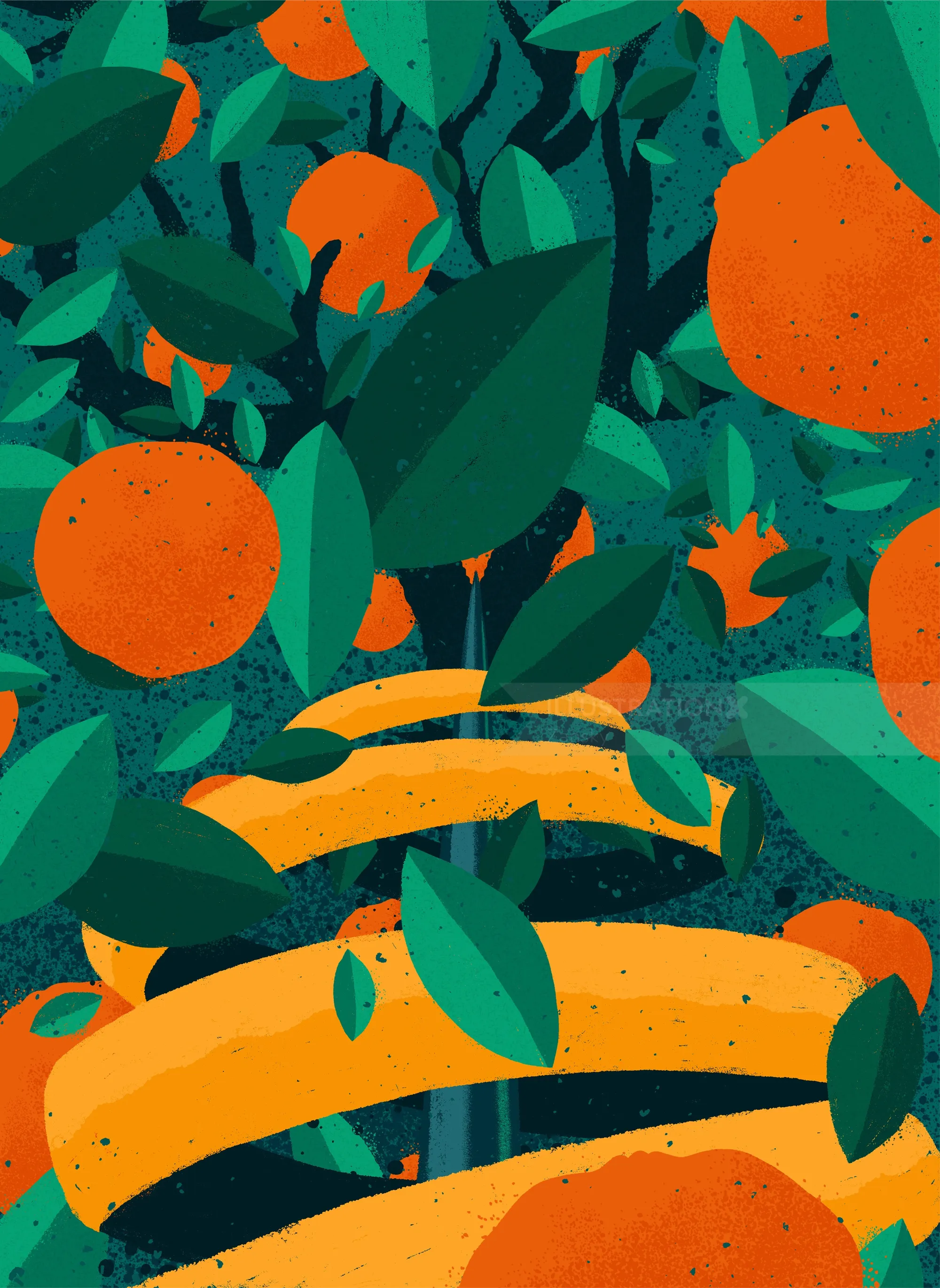 Creative label and poster designs made for Trilha Brewery