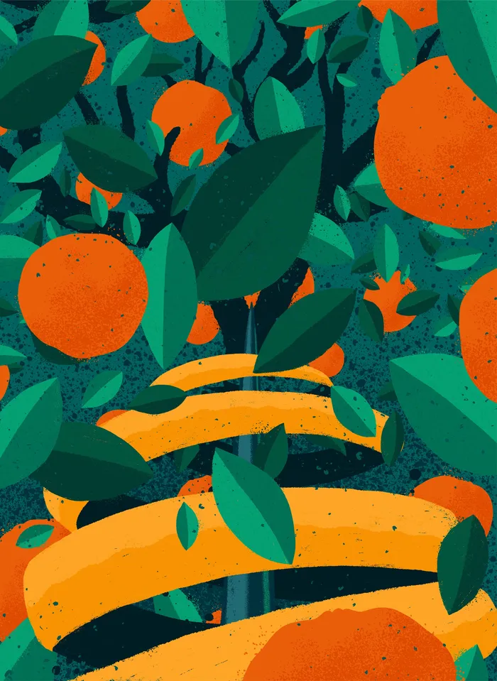 Creative label and poster designs made for Trilha Brewery