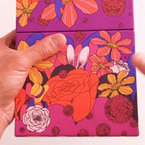 Zansky Children Illustrator from Brazil