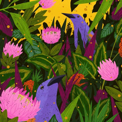 Illustration of colorful birds and tropical flowers by Zansky