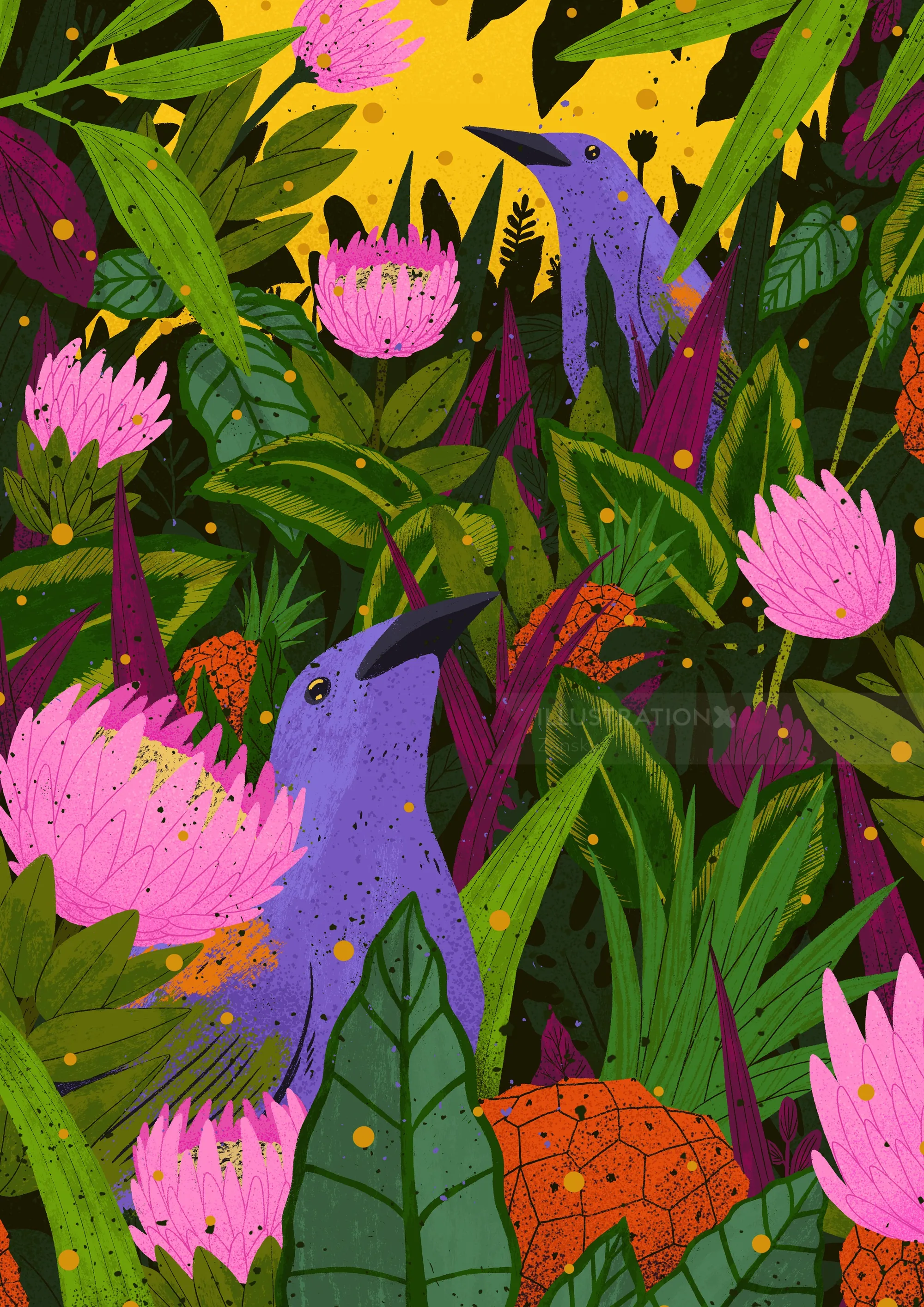 Illustration of colorful birds and tropical flowers by Zansky