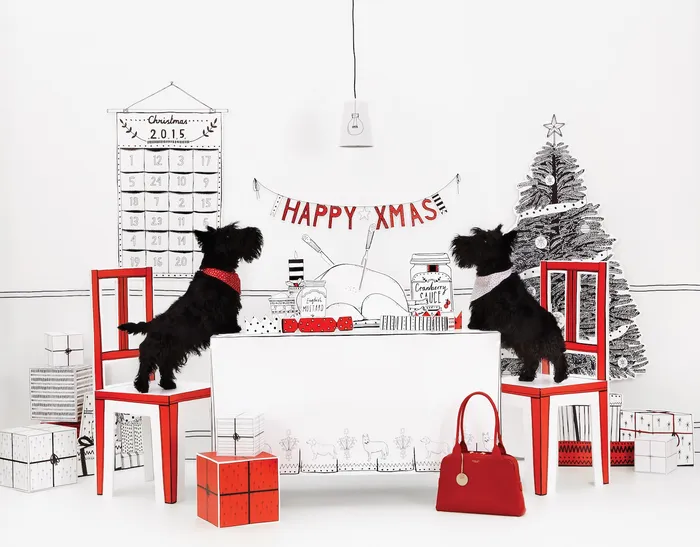 Animal Dogs celebrating Christmas