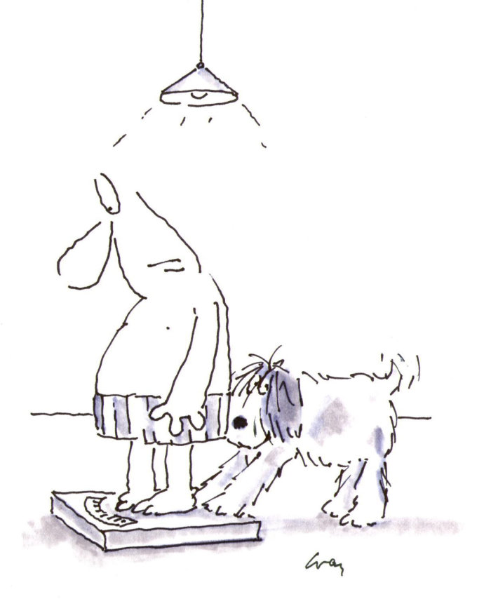 Man and dog at personal weighing machine  - Cartoon illustration by Gray Jolliffe