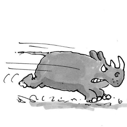 Cartoon rhinocerous illustration by Gray Jolliffe