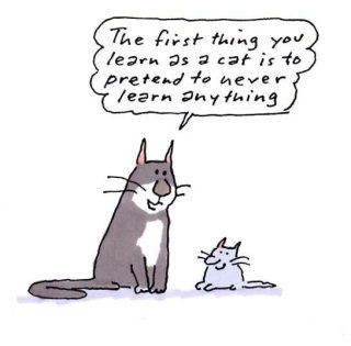 Gray Jolliffe 绘制的猫与小猫交流的卡通插图 