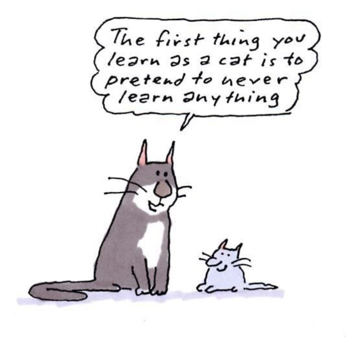 Gray Jolliffe的猫和小猫交流的卡通插图