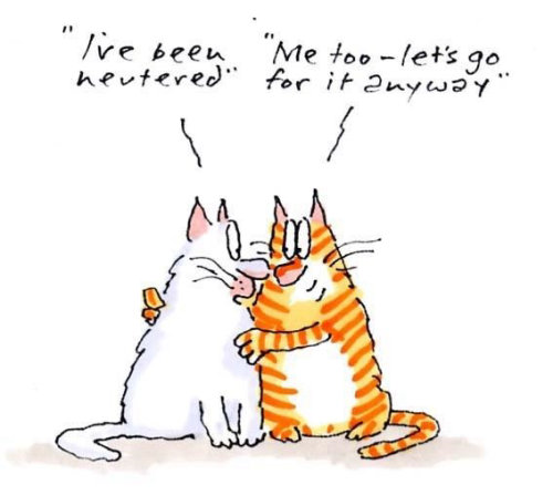 Ilustração dos gatos por Gray Jolliffe