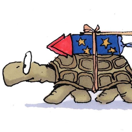 Fun Artwork of A Tortoise