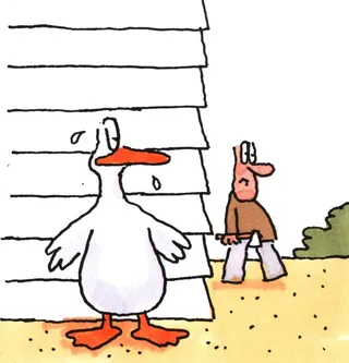 Cartoon of duck hiding from man