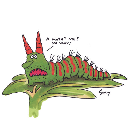 Cartoon caterpillar illustration by Gray Jolliffe