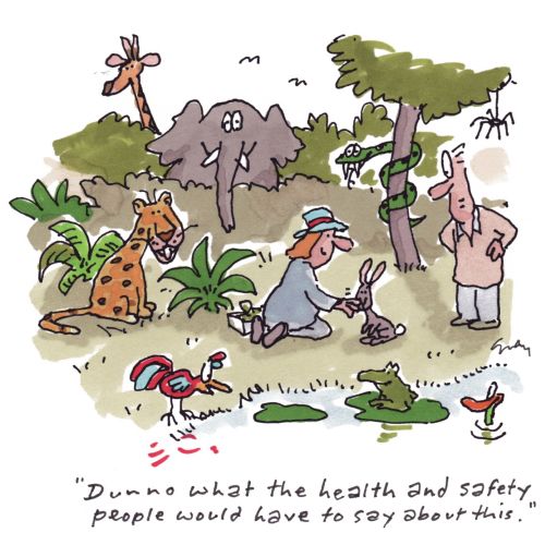 Nature illustration of animals health and safety
