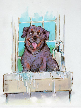 Cachorro de desenho animado e humor na banheira