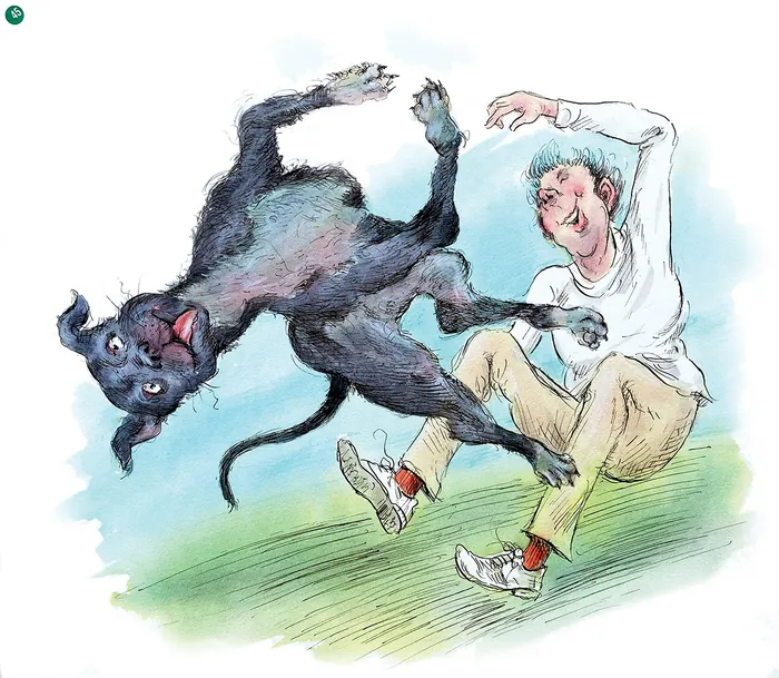 Black dog jumping playfully near surprised man on grass