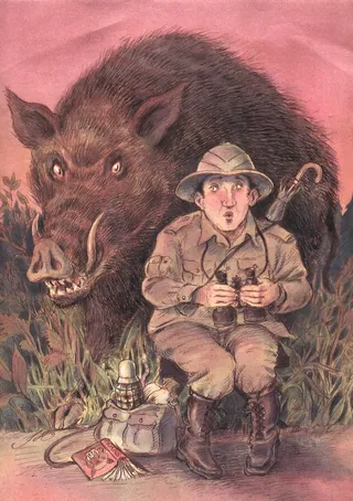 A surprised explorer sits with a large boar behind him, illustration by John Holder