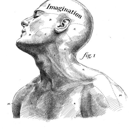 Face line drawing of muscular man 