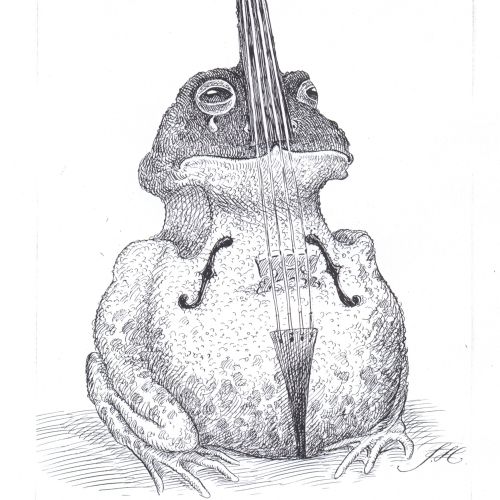 Veteran pen art of a frog in violin shape