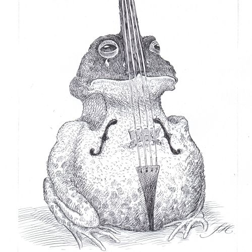 Black and white frog integrated with a cello by John Holder