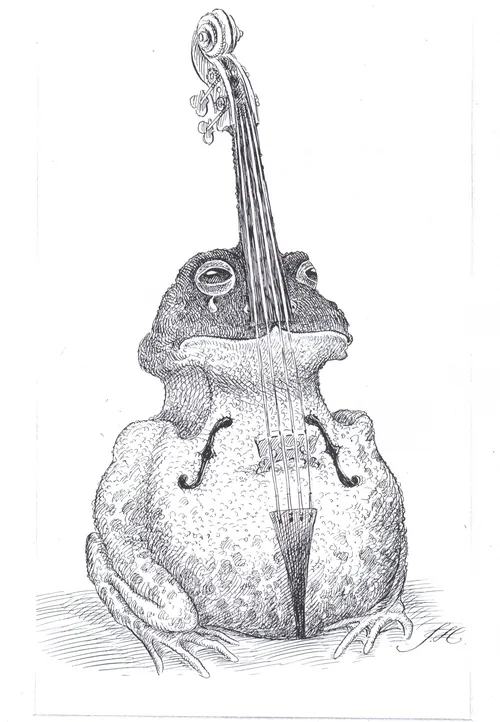 Black and white frog integrated with a cello by John Holder