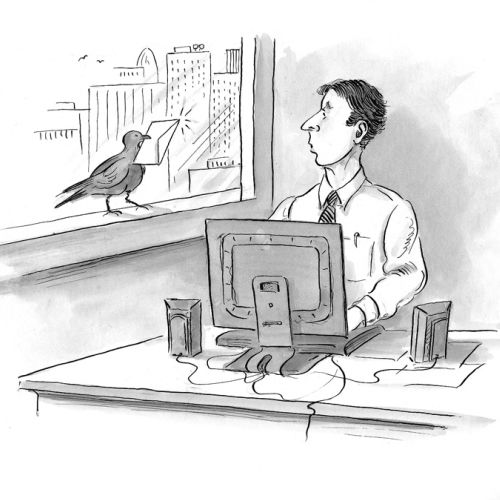 Cartoon & Humour crow delivering letter to a man