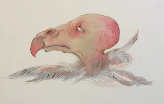 Cartoon & Humour crying vulture