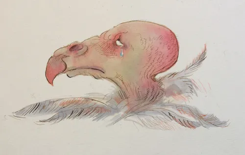 Cartoon & Humour crying vulture