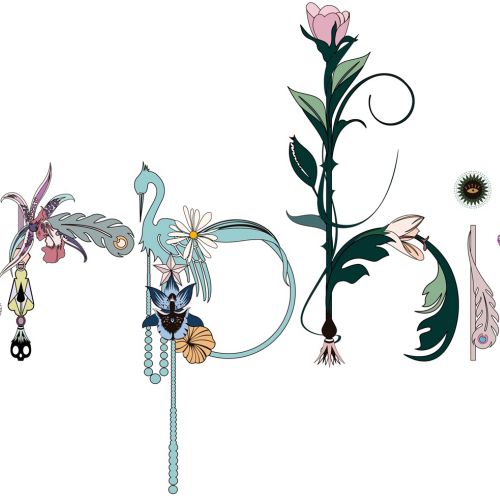 Nadia Flower Decorative illustrator.  New Zealand