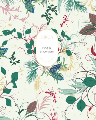 Botanical illustration of pine cones and snowgum leaves by Nadia Flower