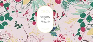 Floral pattern with raspberry and rhubarb fruits by Nadia Flower