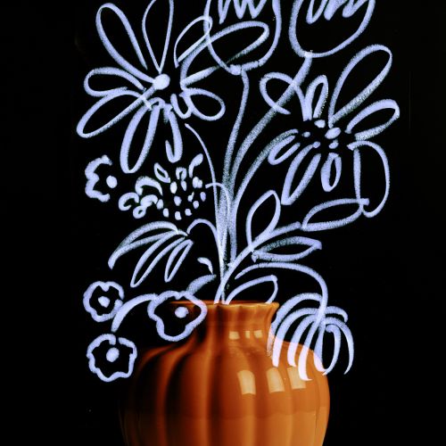 Nadia Flower Natureza Illustrator from New Zealand