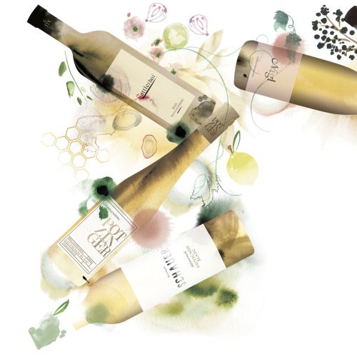 Nadia Flower watercolor illustration of wine bottles with botanical sprigs