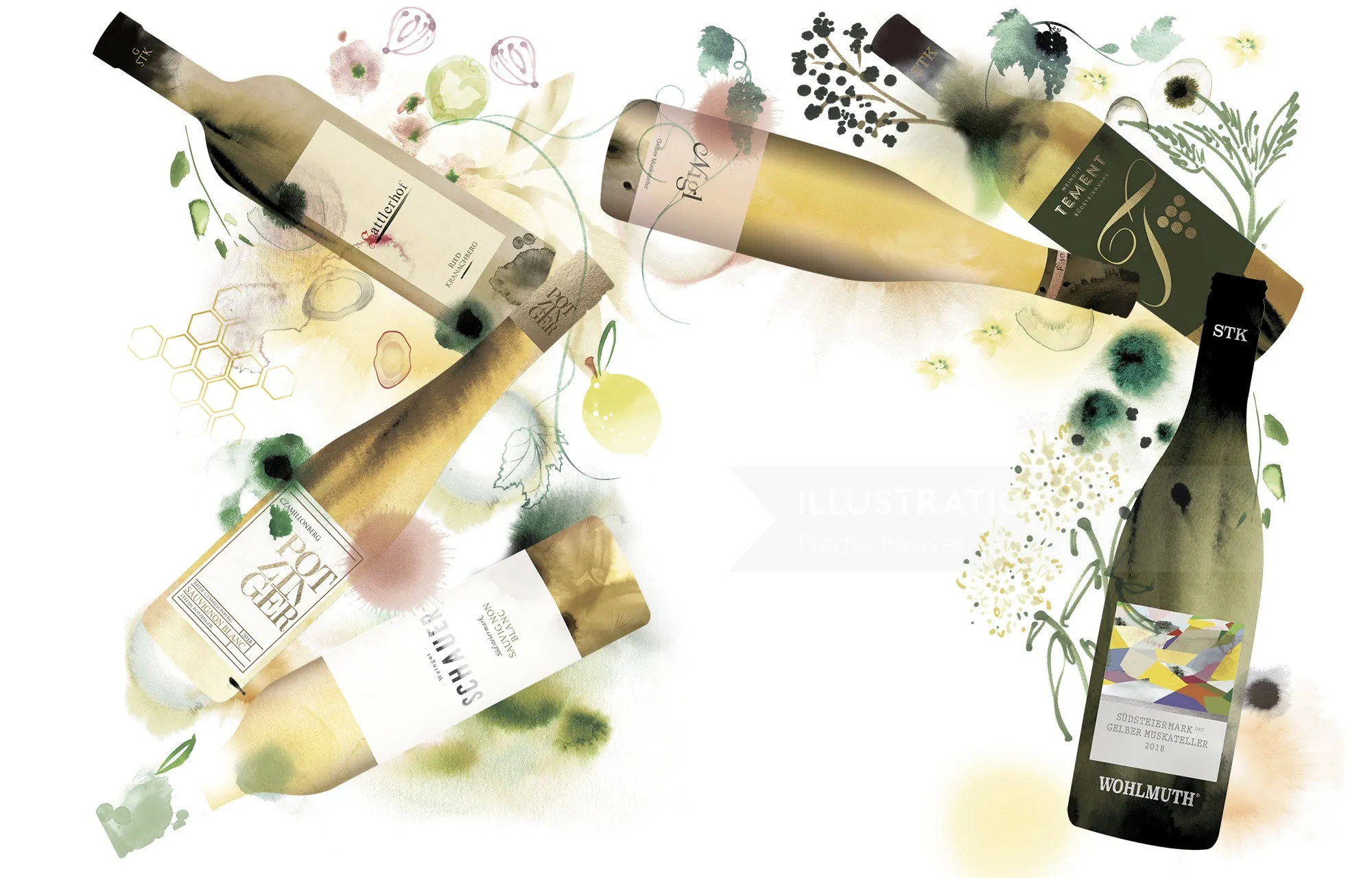 Nadia Flower 水彩插画，描绘了带有植物枝条的葡萄酒瓶