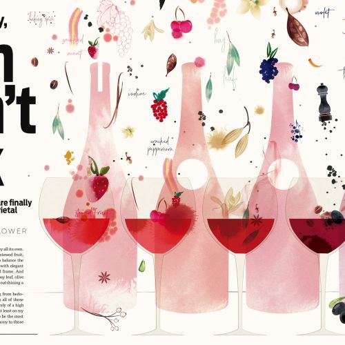 Nadia Flower illustration of Syrah wine glasses and botanical ingredients