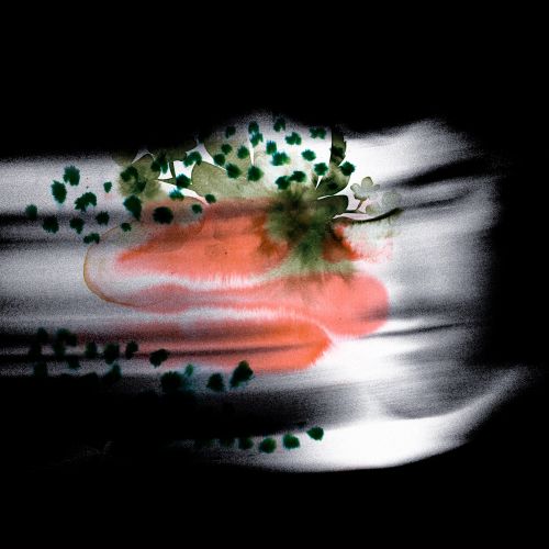 Abstract red, white, black, and green artwork by Nadia Flower
