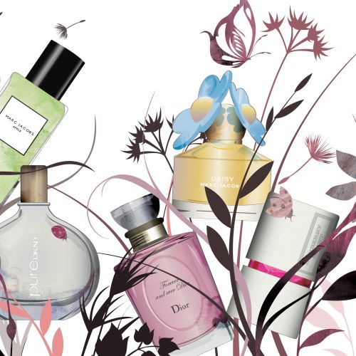 Nadia Flower illustration of perfume bottles surrounded by delicate botanical branches