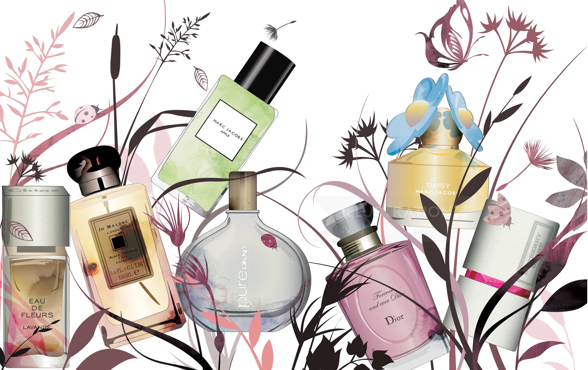 Nadia Flower Illustration de flacons de parfum entourés de délicates branches botaniques