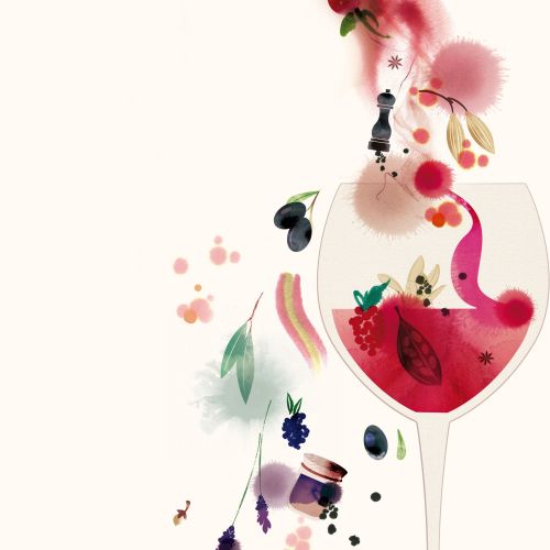 Botanical wine illustration by Nadia Flower with fruit, flowers, and a pouring bottle