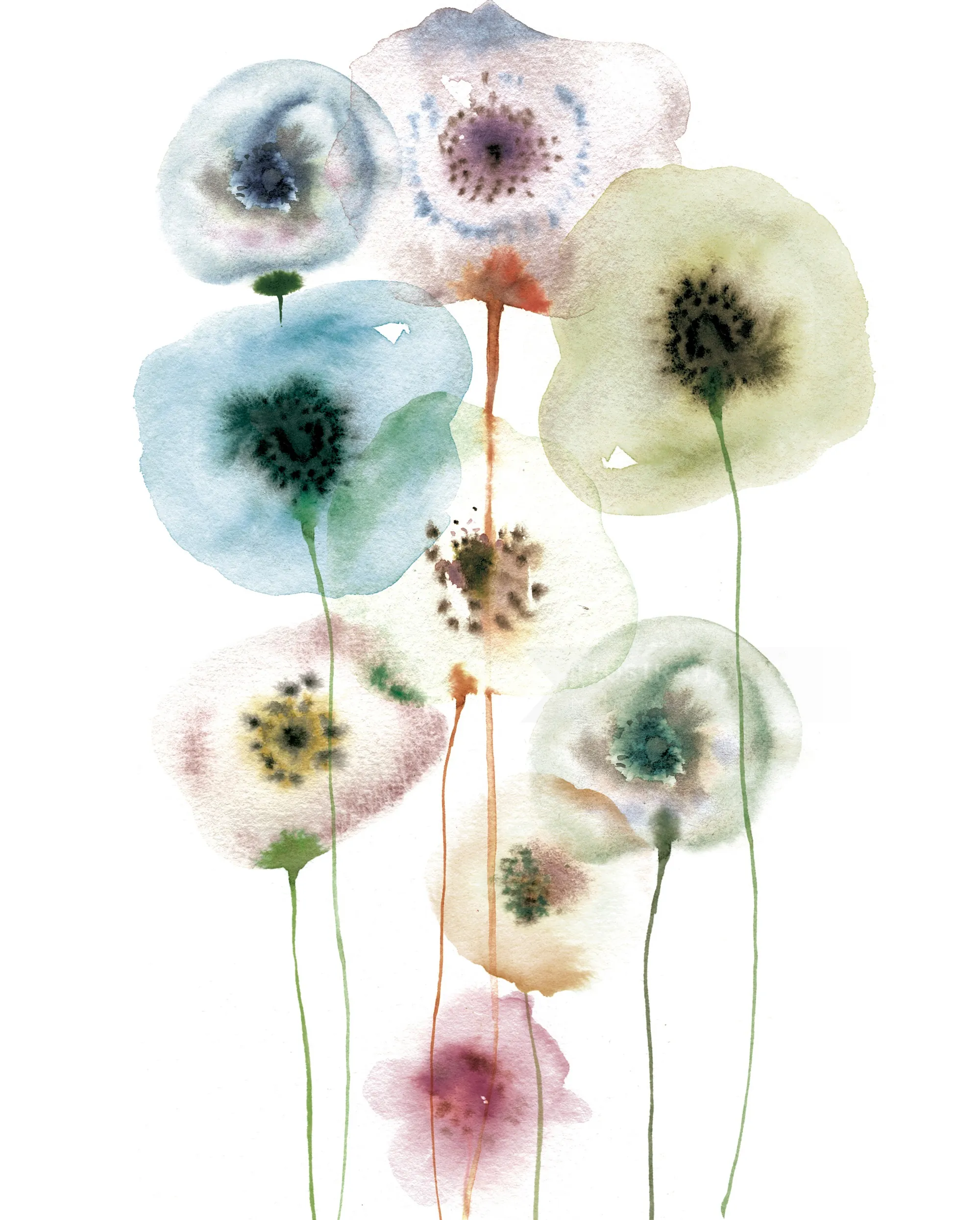 Nadia Flowerによる、繊細な半透明の水彩画の花々、柔らかなパステル調