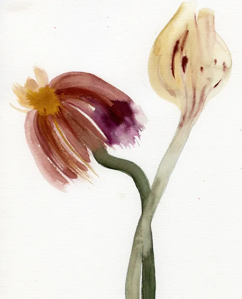 Flores y capullo en acuarela por Nadia Flower