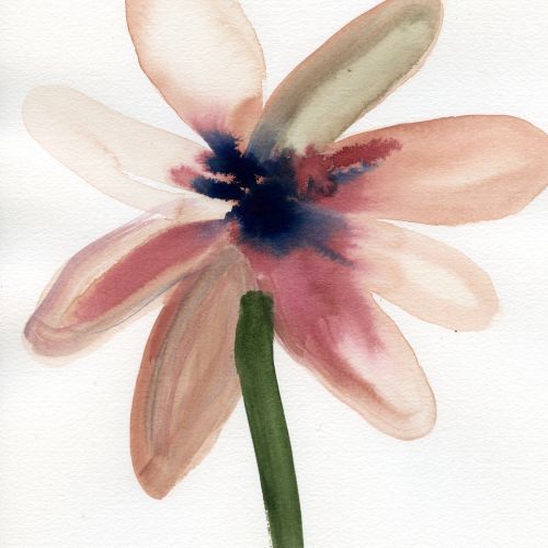 Watercolor flower with translucent petals by Nadia Flower