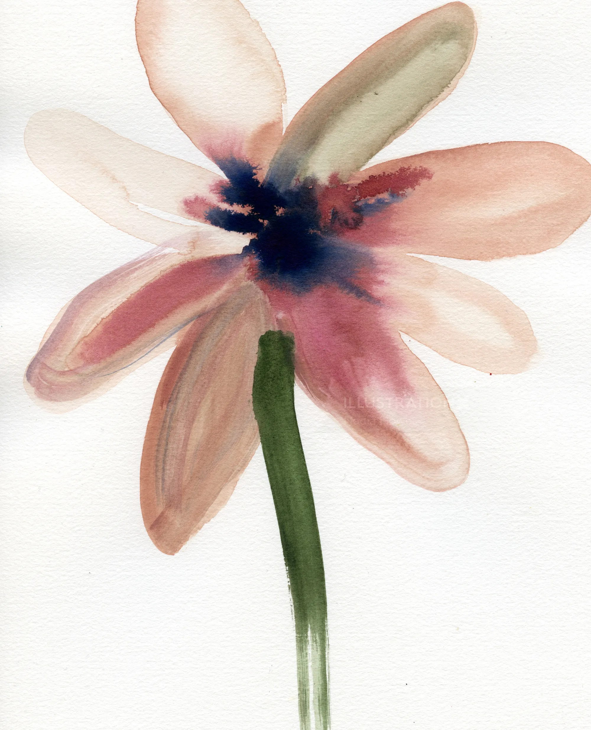 Watercolor flower with translucent petals by Nadia Flower