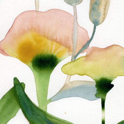 Watercolor flowers and green leaves by Nadia Flower