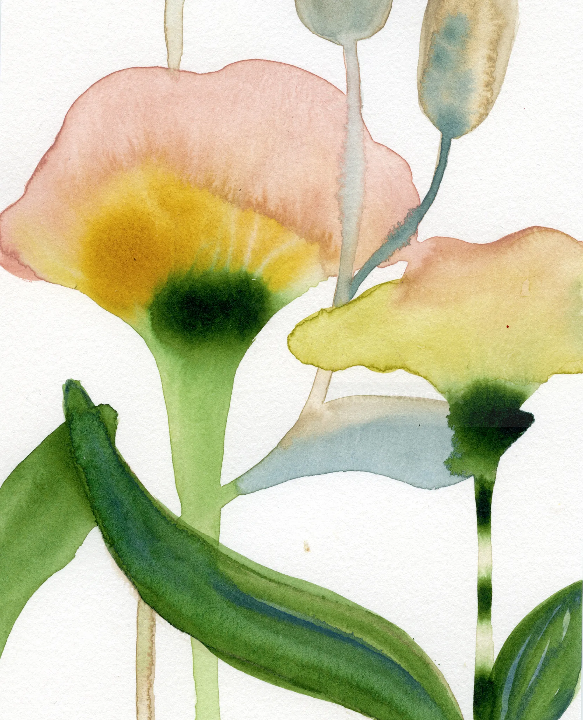Watercolor flowers and green leaves by Nadia Flower