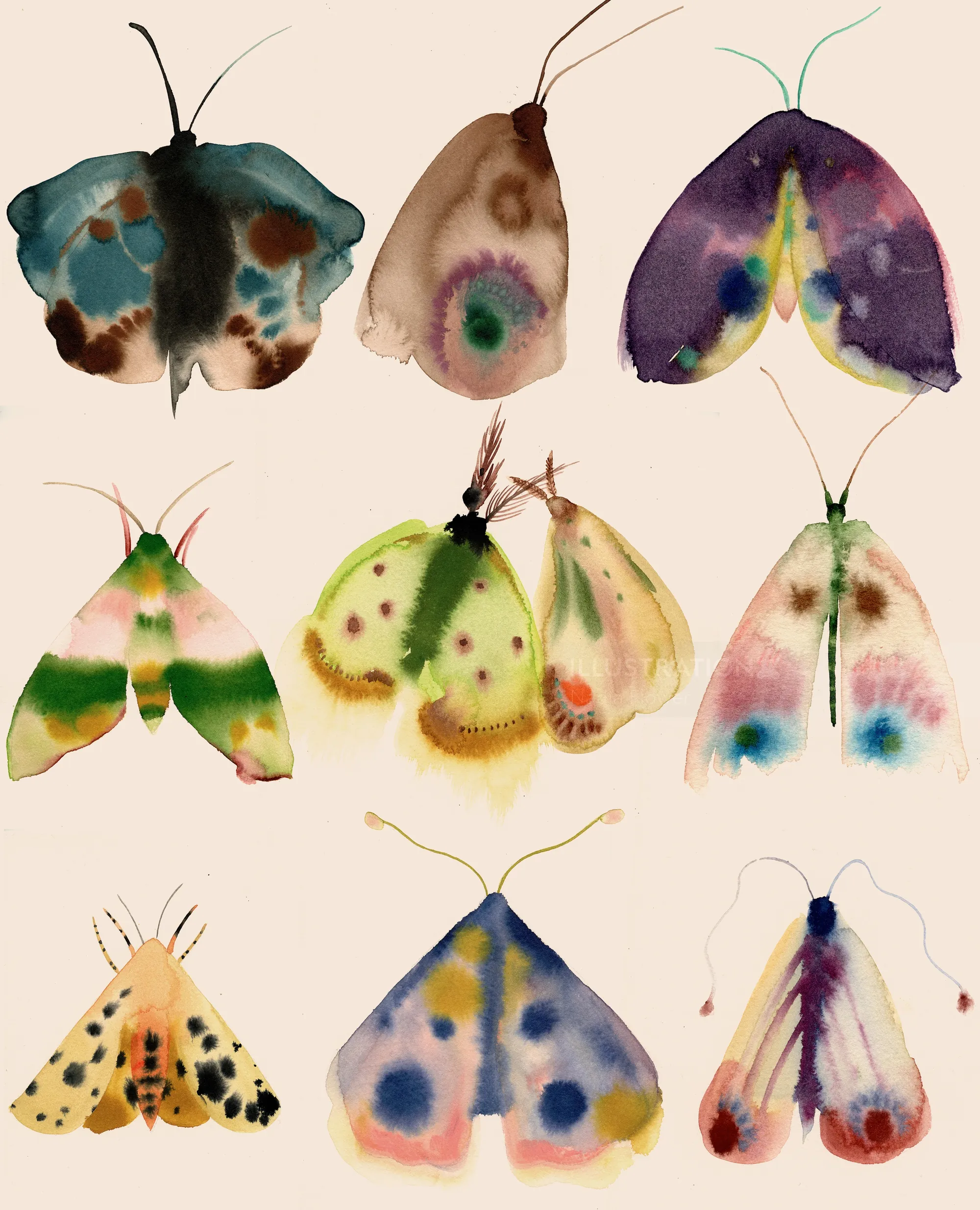 Farbenfrohe Aquarell-Mottensammlung von Nadia Flower, angeordnet in drei Reihen